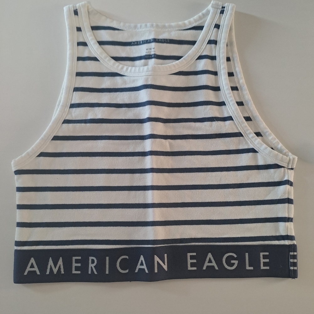 American Eagle Crop Tank